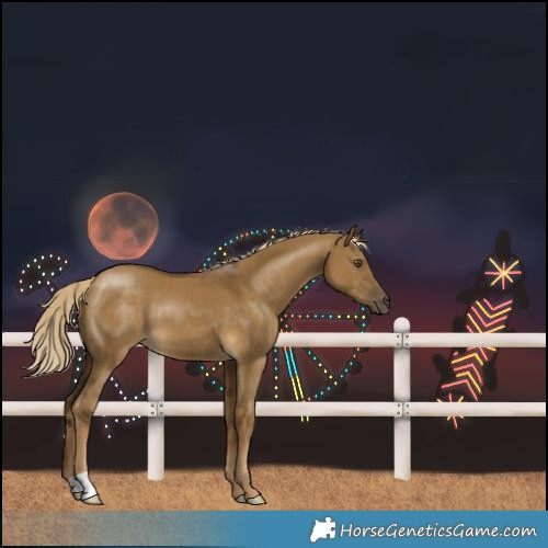 Horse Color:Chocolate Palomino Dun Mushroom