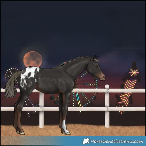 Horse Color:Liver Chestnut Mushroom Blanket 