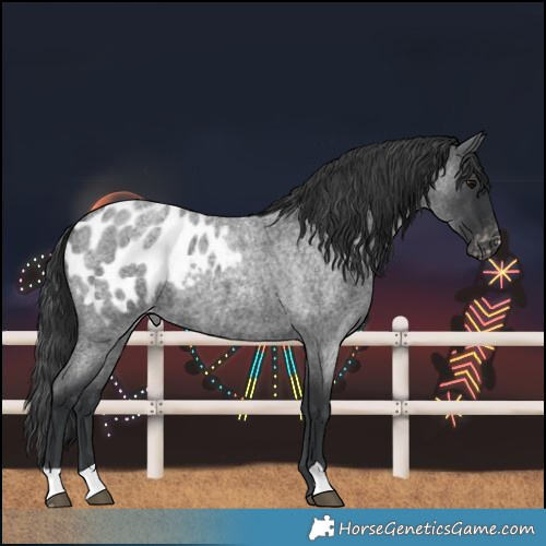Horse Color:Blue Roan Blanket 