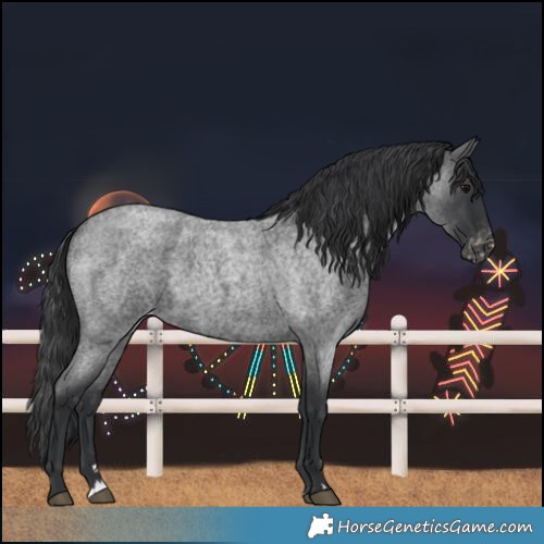 Horse Color:Blue Roan Varnish 