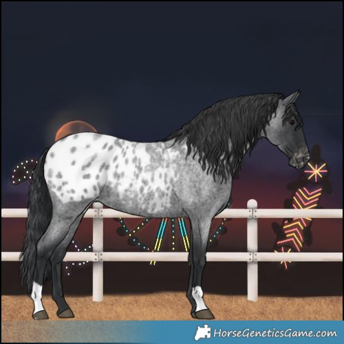Horse Color:Blue Roan Blanket