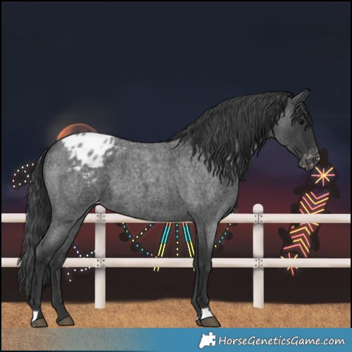 Horse Color:Blue Roan Blanket