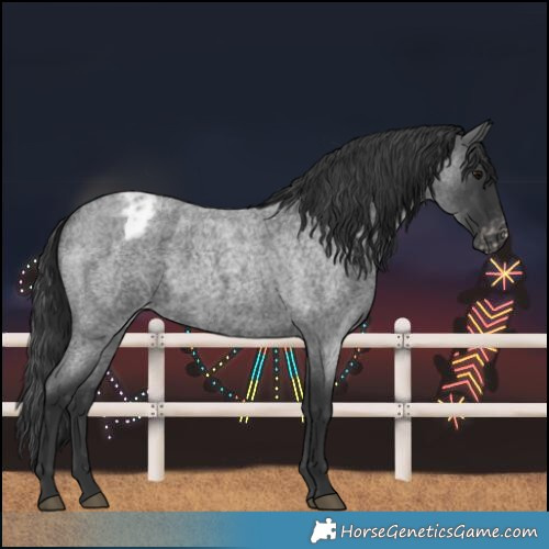 Horse Color:Blue Roan Varnish