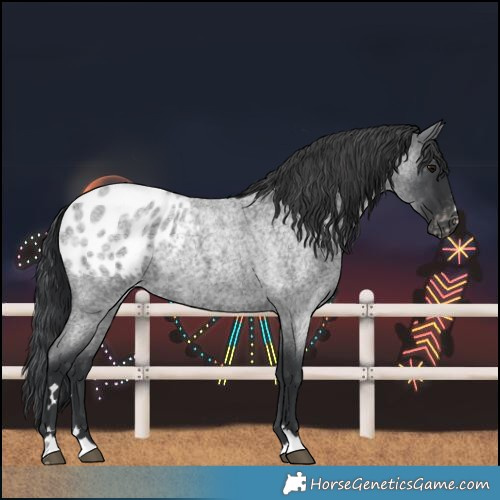 Horse Color:Blue Roan Blanket 