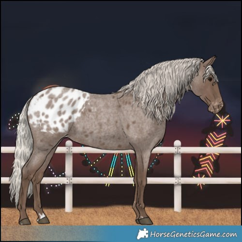 Horse Color:Silver Blue Roan Blanket