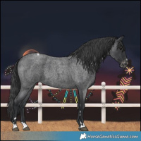 Horse Color:Blue Roan Varnish 