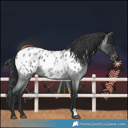 Horse Color:Blue Roan Blanket