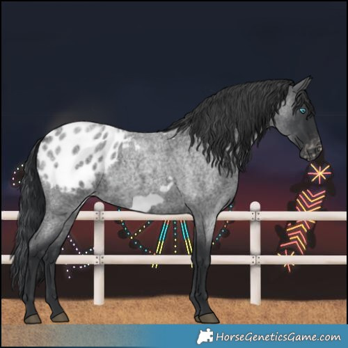 Horse Color:Blue Roan Frame Blanket 