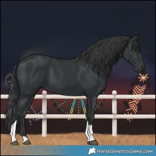 Horse Color:Black Tobiano