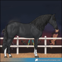 Horse Color:Black Tobiano 