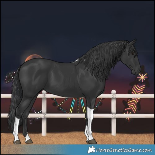Horse Color:Black Tobiano 