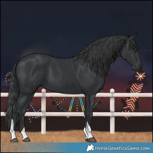 Horse Color:Black Tobiano 