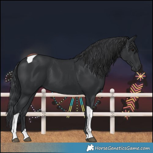 Horse Color:Black Tobiano 