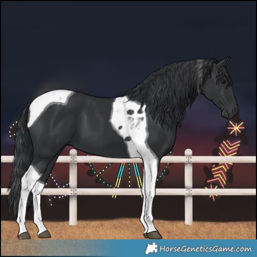 Horse Color:Black Tobiano 