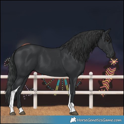 Horse Color:Black Tobiano