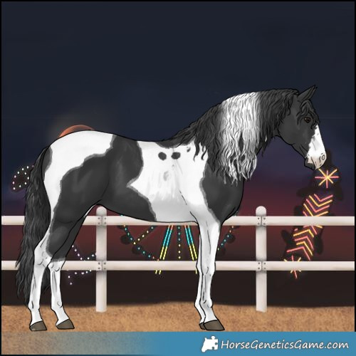 Horse Color:Black Tobiano