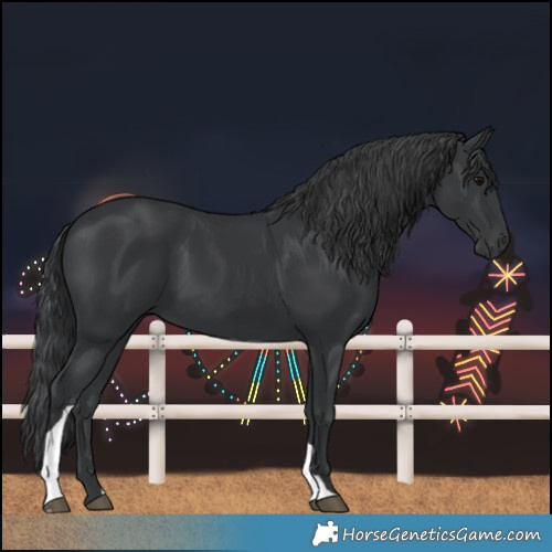 Horse Color:Black Tobiano