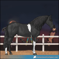 Horse Color:Black Tobiano 