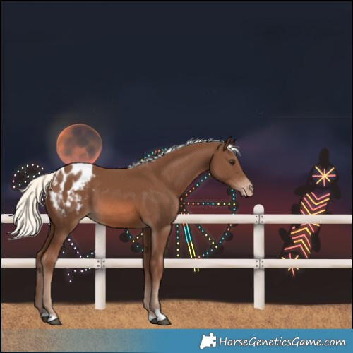 Horse Color:Chestnut Mushroom Varnish 