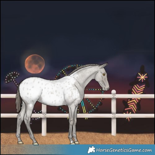 Horse Color:Classic Cream Champagne Roan Blanket 