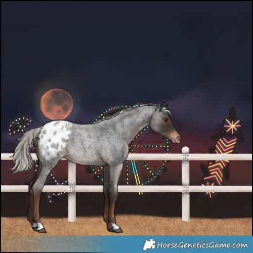 Horse Color:Liver Red Roan Mushroom Varnish