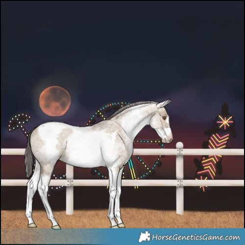 Horse Color:White Spotted Classic Champagne Dun Tobiano Frame Rabicano 