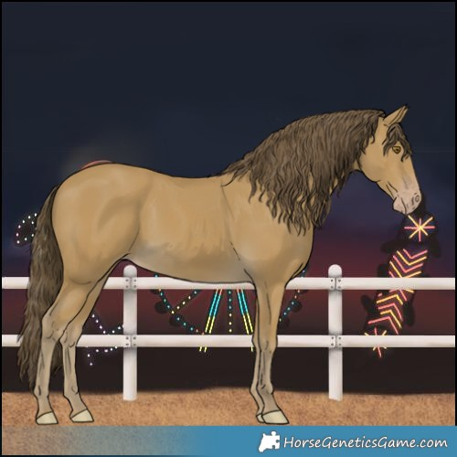 Horse Color:Classic Cream Champagne