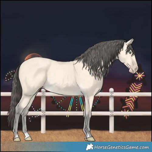 Horse Color:Amber Cream Champagne Rabicano