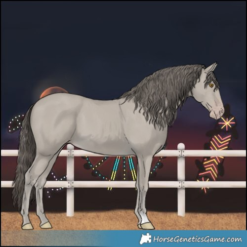 Horse Color:Classic Cream Champagne 