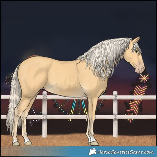 Horse Color:Gold Cream Champagne 