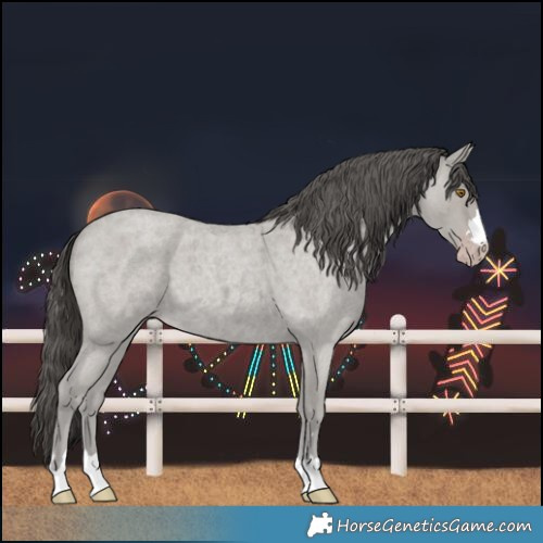 Horse Color:Classic Cream Champagne Roan