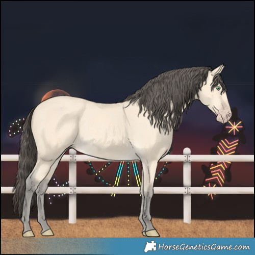 Horse Color:Amber Cream Champagne