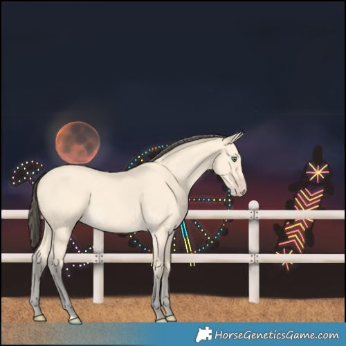 Horse Color:Amber Cream Champagne