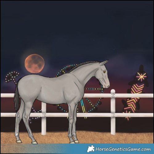Horse Color:Classic Cream Champagne 