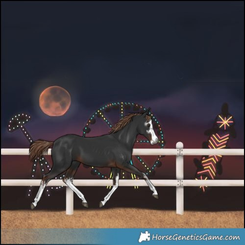 Horse Color:Gray White Spotted Liver Chestnut