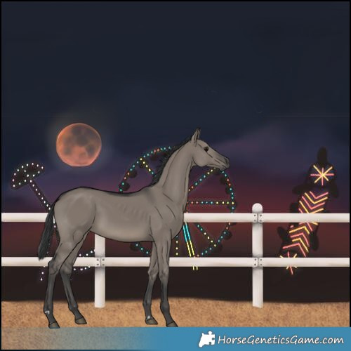Horse Color:Grullo Rabicano