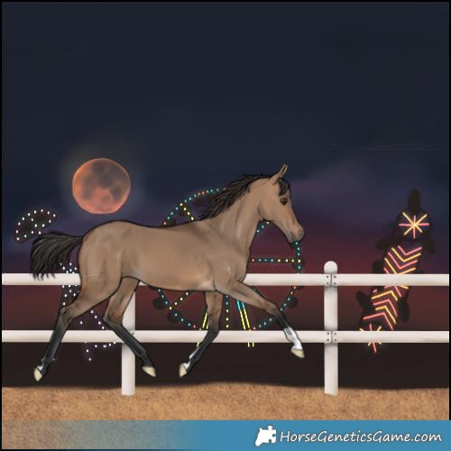 Horse Color:Brown Dun 
