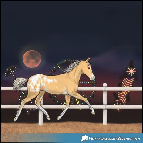 Horse Color:Palomino Blanket