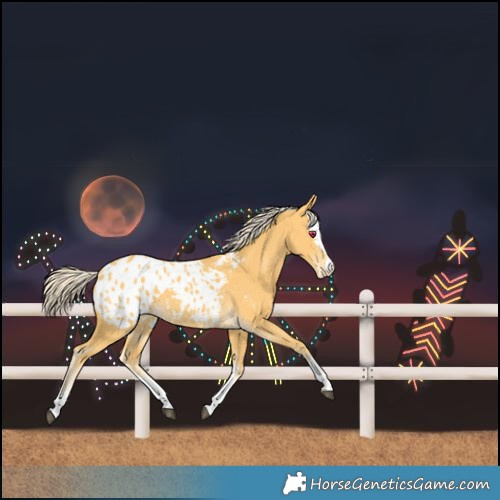 Horse Color:Palomino Blanket