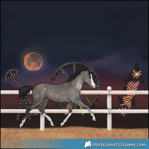 Horse Color:Smoky Grullo 