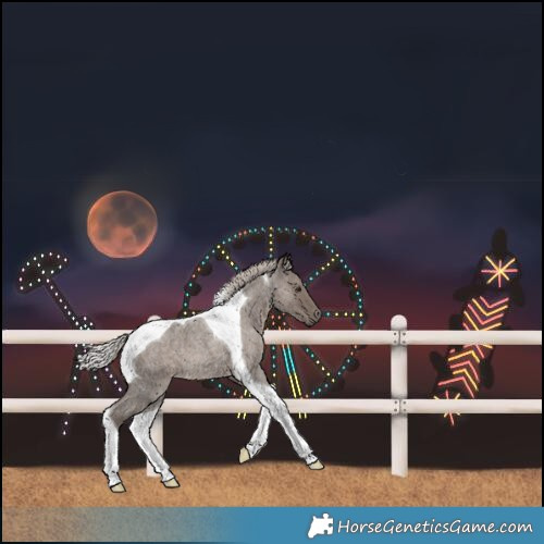 Horse Color:Silver Blue Roan Tobiano 