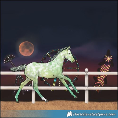 Horse Color:Watercolor Silver Bay Ice Dun Sabino 