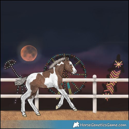 Horse Color:White Spotted Silver Black Tobiano 