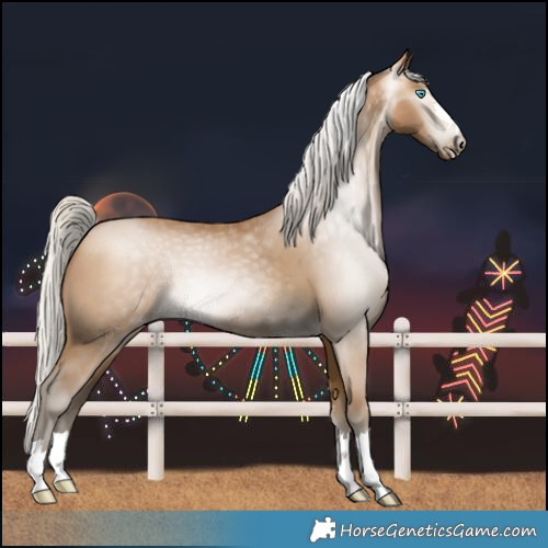 Horse Color:Gray Silver Buckskin Pearl 