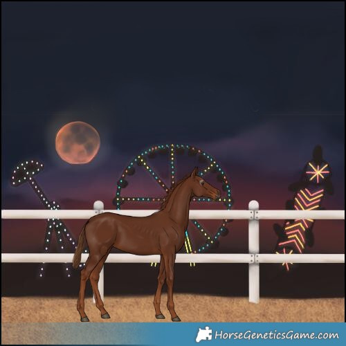 Horse Color:Gray Chestnut