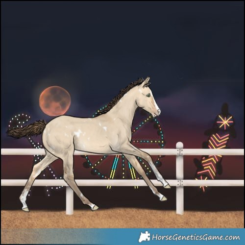 Horse Color:White Spotted Amber Cream Champagne Dun Sabino Splash 