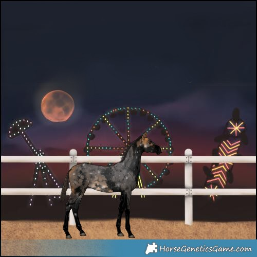 Horse Color:Void White Spotted Buckskin