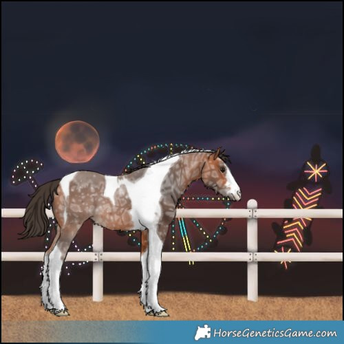 Horse Color:Bay Ice Tobiano 
