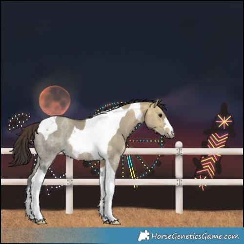 Horse Color:Bay Ice Dun Tobiano Rabicano