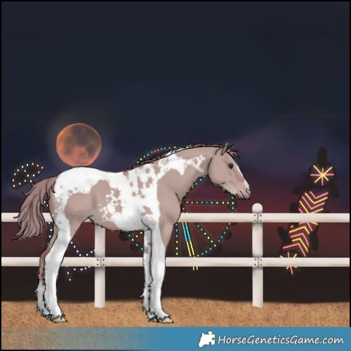 Horse Color:Watercolor Red Dun Tobiano